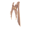 http://www.eldarya.es/static/img/item/player/icon/70ec5094323a510e1382e1d53e38de4a.png