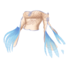 https://www.eldarya.es/assets/img/item/player/icon/a240d2e03c4877bd0ed97e93842f2607.png